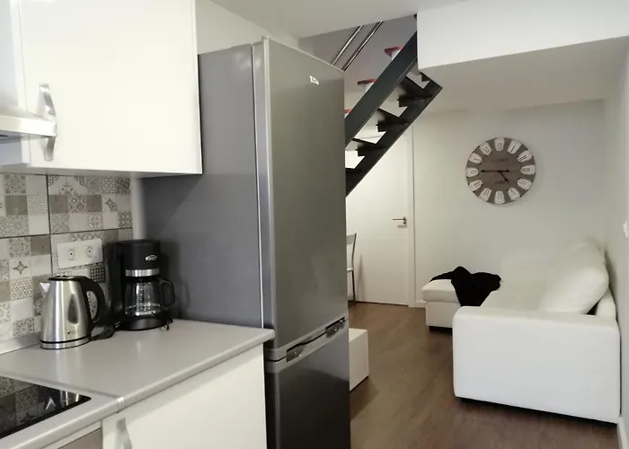 Homeforguest Bioma Modern & Minimalist *