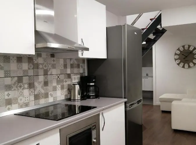 Homeforguest Bioma Modern & Minimalist