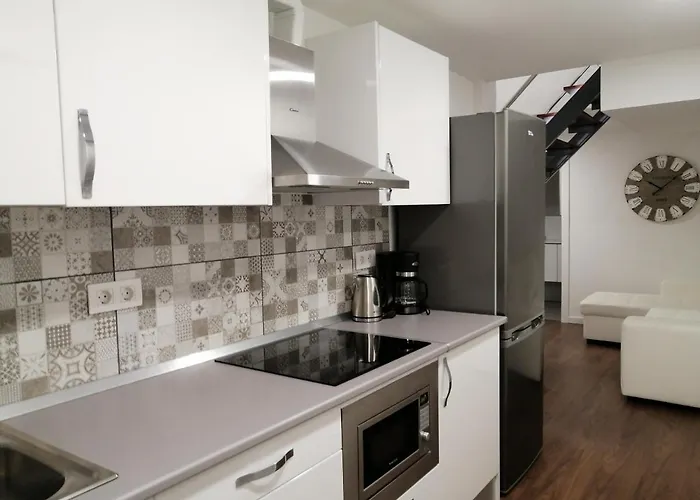 公寓 Homeforguest Bioma Modern & Minimalist 圣克鲁斯-德特内里费