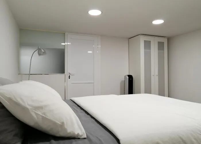 公寓 Homeforguest Bioma Modern & Minimalist 圣克鲁斯-德特内里费